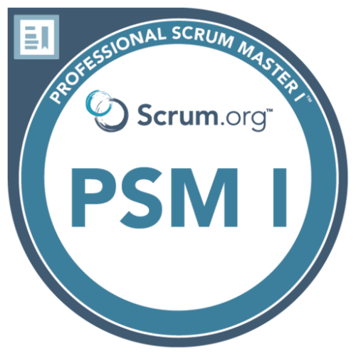 Professional Scrum Master